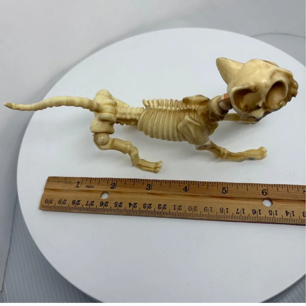 Articulated Cat Skeleton Halloween Figurine Posable Plastic Bone Decor 7 Inch